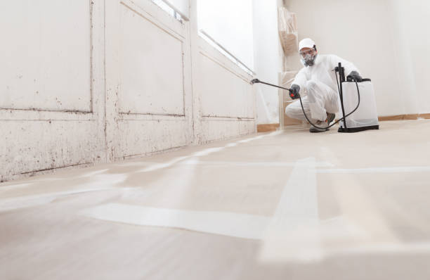 Black mold remediation team in Helmetta
